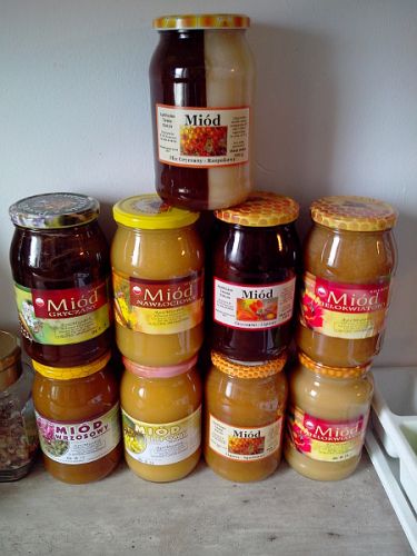 Pawel, Reading Pawel, Reading