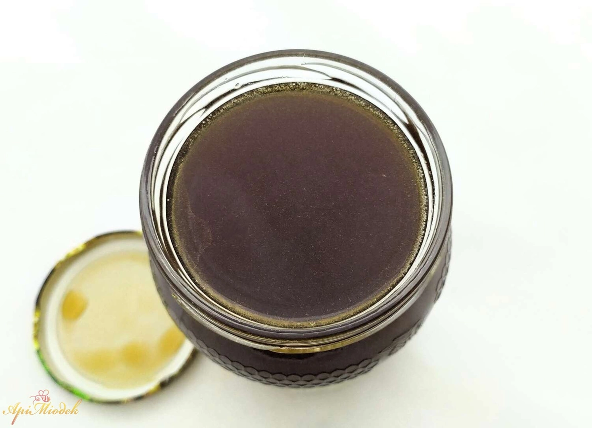 Łyżka miodu spadziowego liściastego