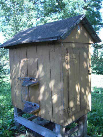 UL warszawski zwykły