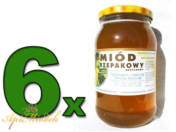 Zestaw 6 x Miód Rzepakowy 1,2 kg PREMIUM
