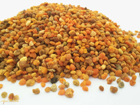 Pyłek kwiatowy pszczeli 1 kg