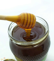 Miód Spadziowy Liściasty 1,2 kg PREMIUM