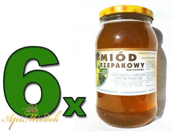 Zestaw 6 x Miód Rzepakowy 1,2 kg PREMIUM